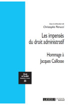Droit et societe - les impenses du droit administratif t.35 : hommage a jacques caillosse