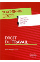 Tout-en-un droit - droit du travail