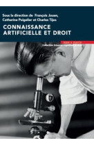Connaissance artificielle et droit