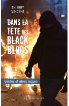 Dans le tete des black blocs - verites et idees recues